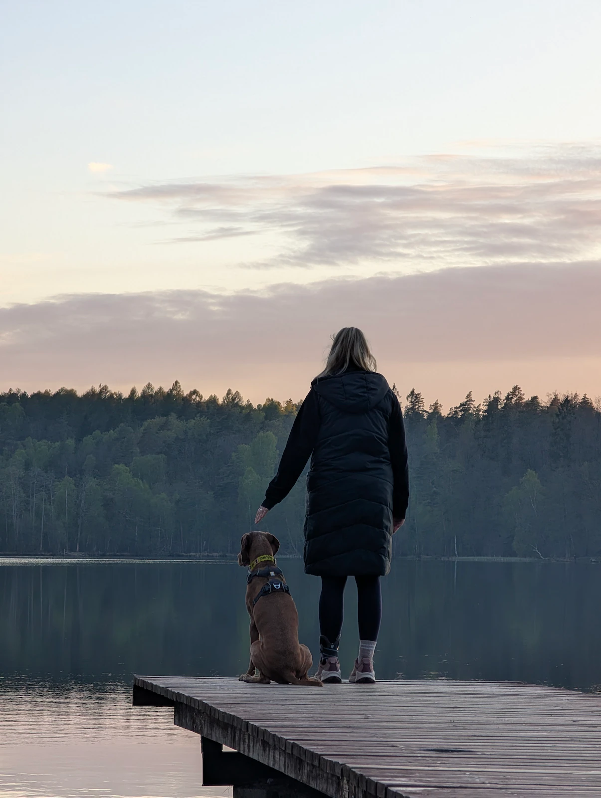 Spokojna chwila z psem nad wodą